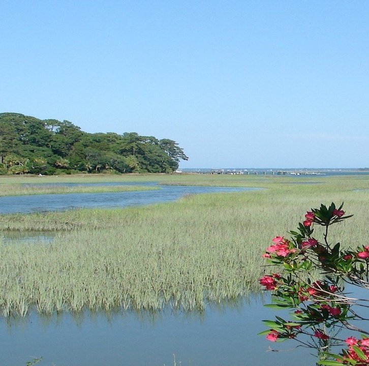 Growing-Up-In-Lowcountry-South-Carolina-sqr 